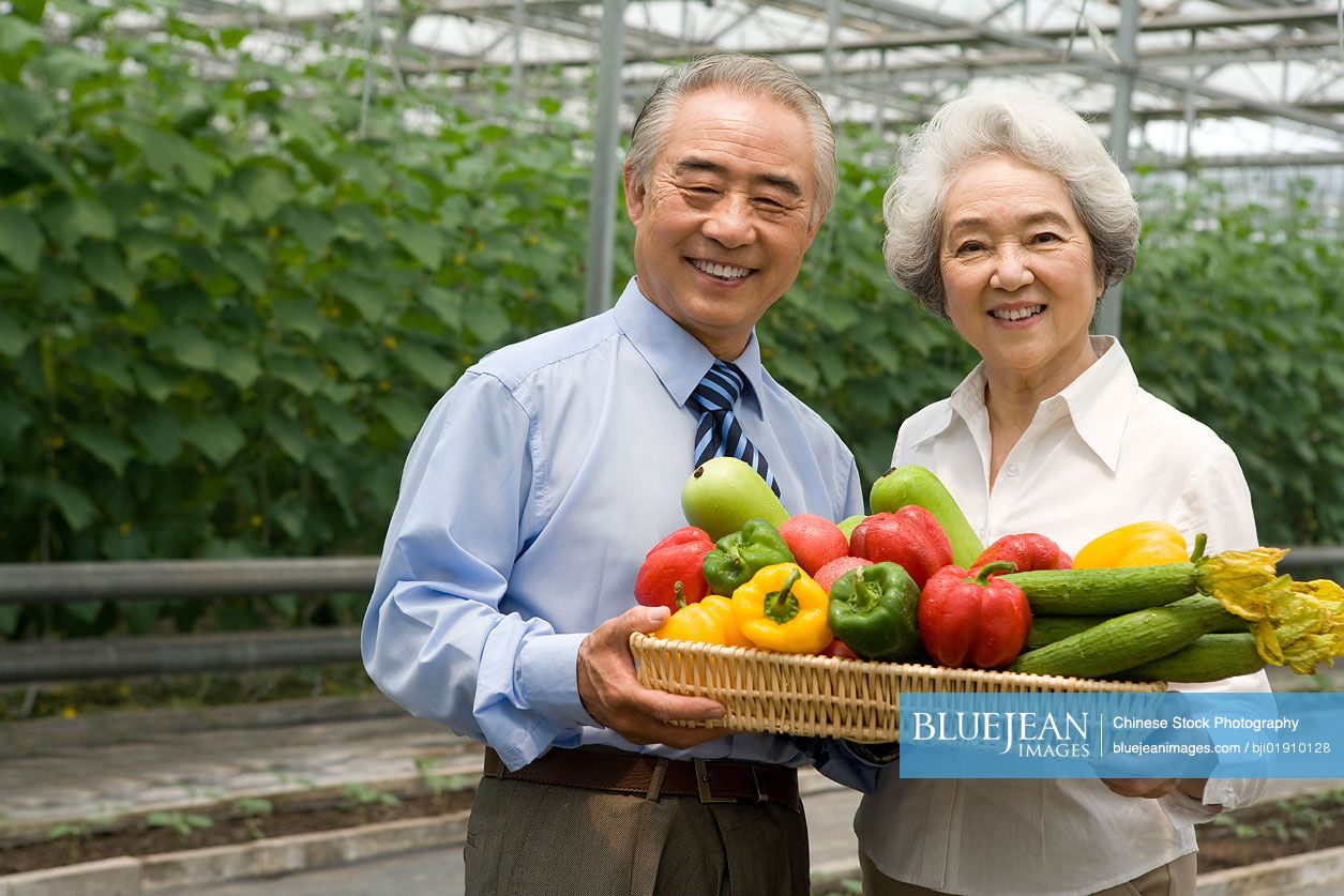 Chinese farmer holding vegetables in modern farm