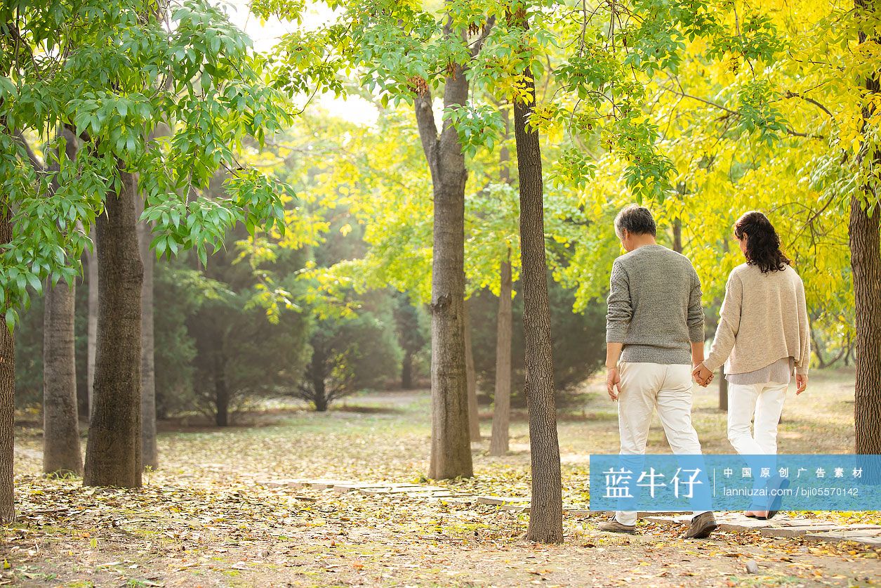 快乐的老年夫妇在树林里约会-蓝牛仔影像-中国原创广告影像素材