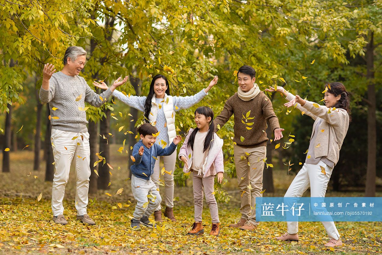 快乐的家庭在树林里共享美好时光