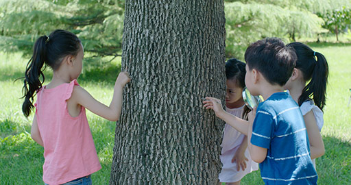 Happy Chinese children playing in park,4K