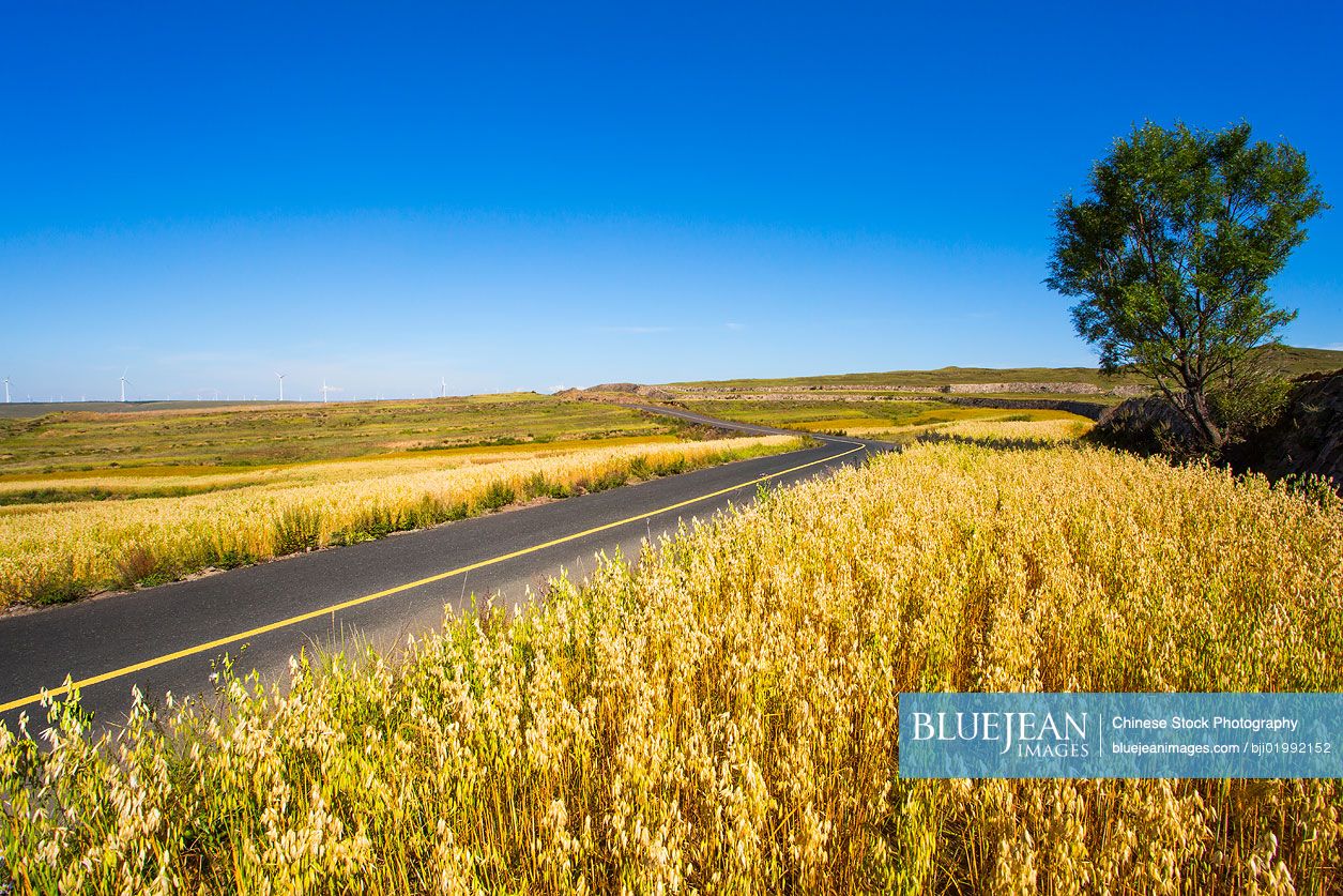 Grassland scenery in Hebei province, China