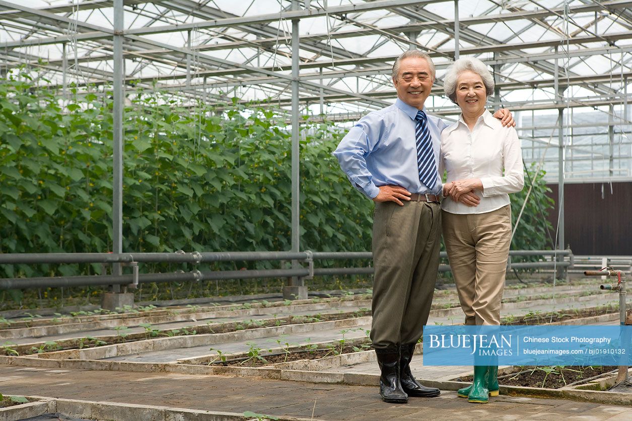 Senior Chinese couple in modern farm