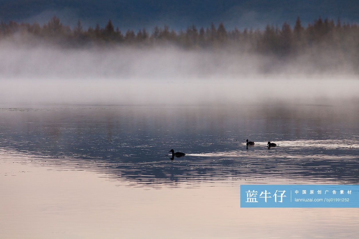 内蒙古阿尔山国家森林公园