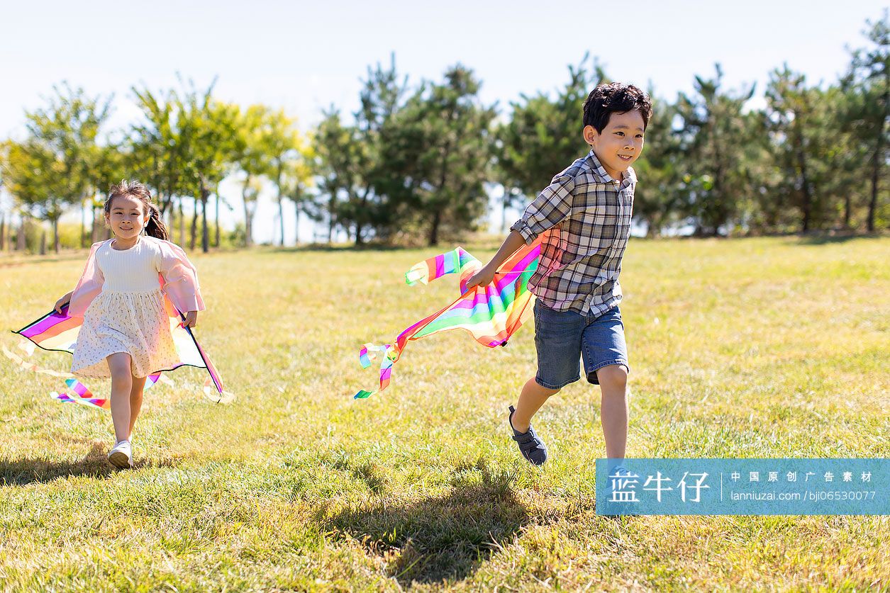 快乐的孩子们在草地上放风筝