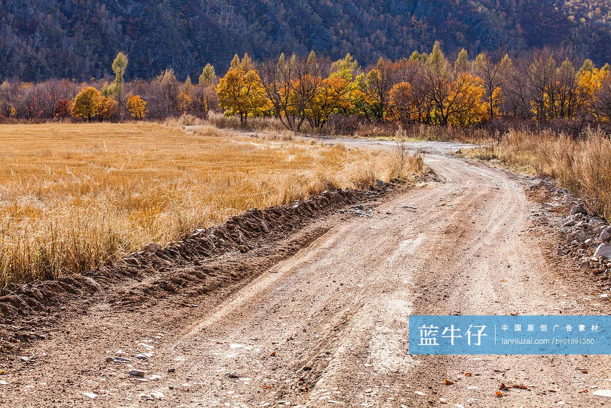 乡村土路