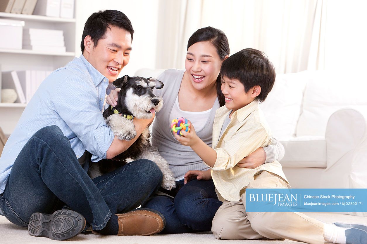 Chinese family playing with a pet schnauzer