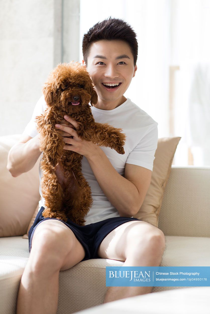Young Chinese man playing with a pet poodle at home