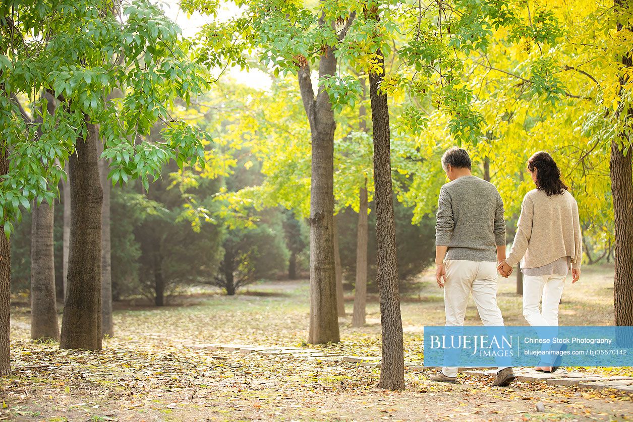 Senior Chinese couple walking in woods-High-res stock photo for download