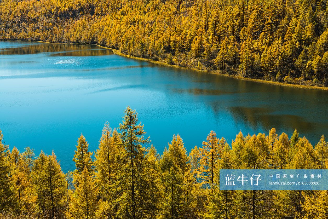 内蒙古阿尔山国家森林公园