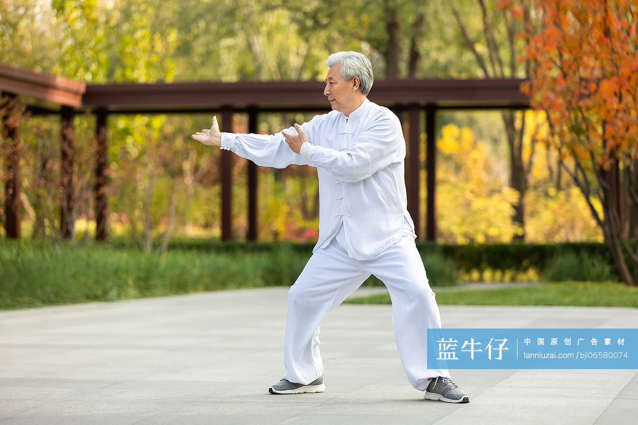 老年男子在公园练太极