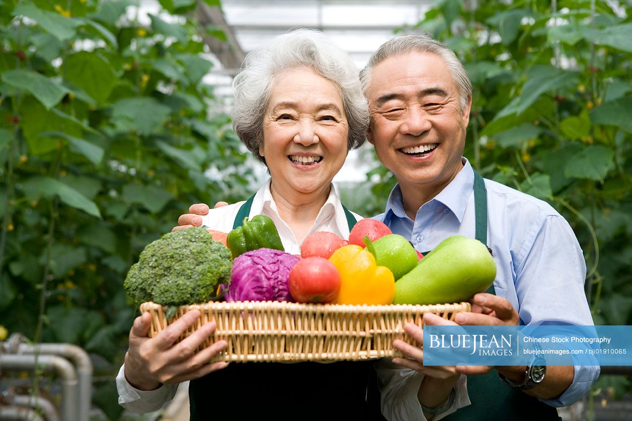 Chinese farmer holding vegetables in modern farm