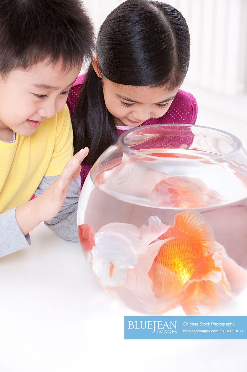 Chinese children having fun with goldfishes