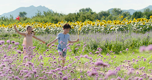 Happy Chinese sibling playing paper windmill in flower field,4K