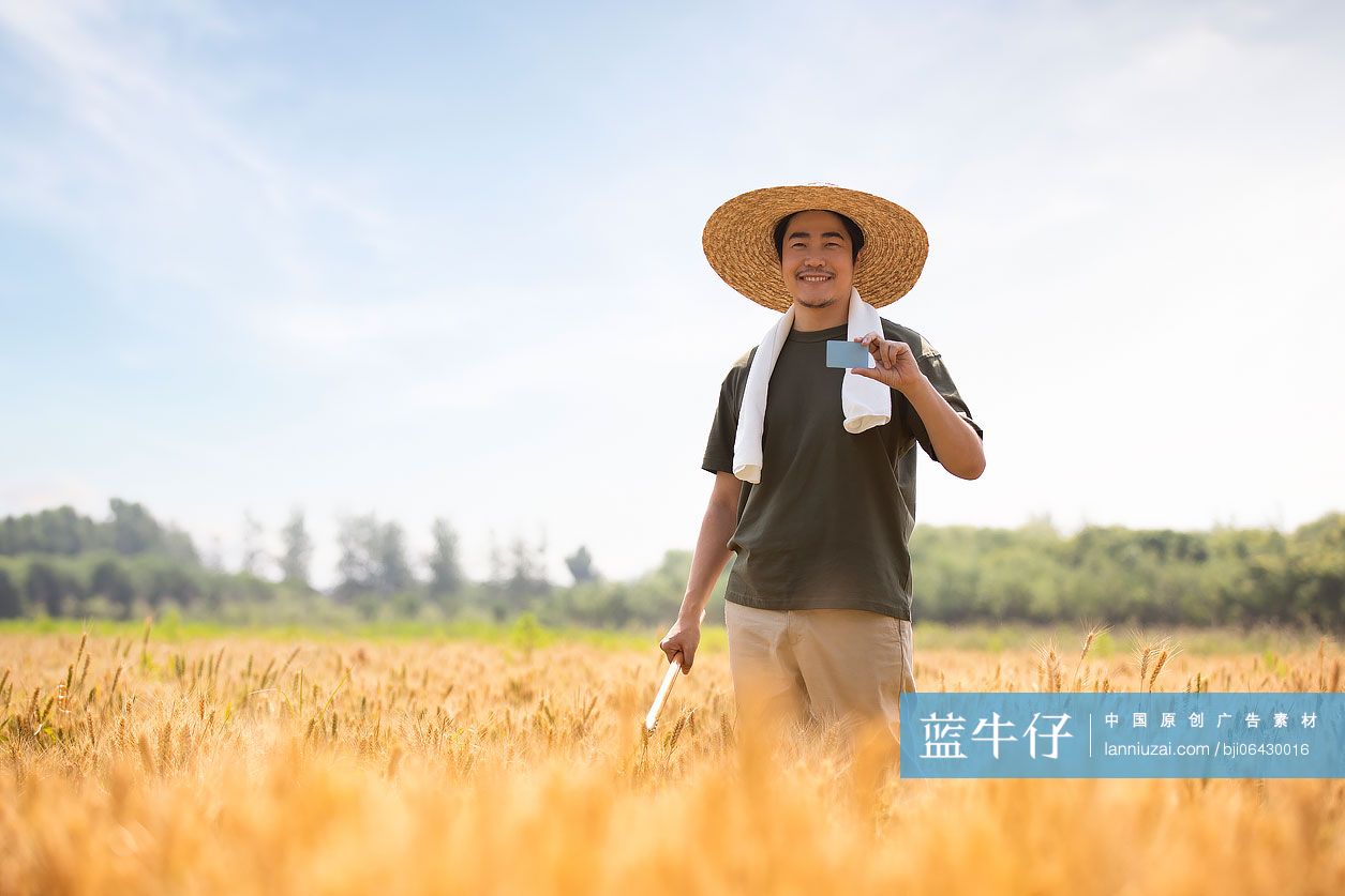 农民在麦田里拿着银行卡