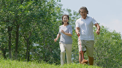 Happy mature Chinese couple running with a cute dog,4K