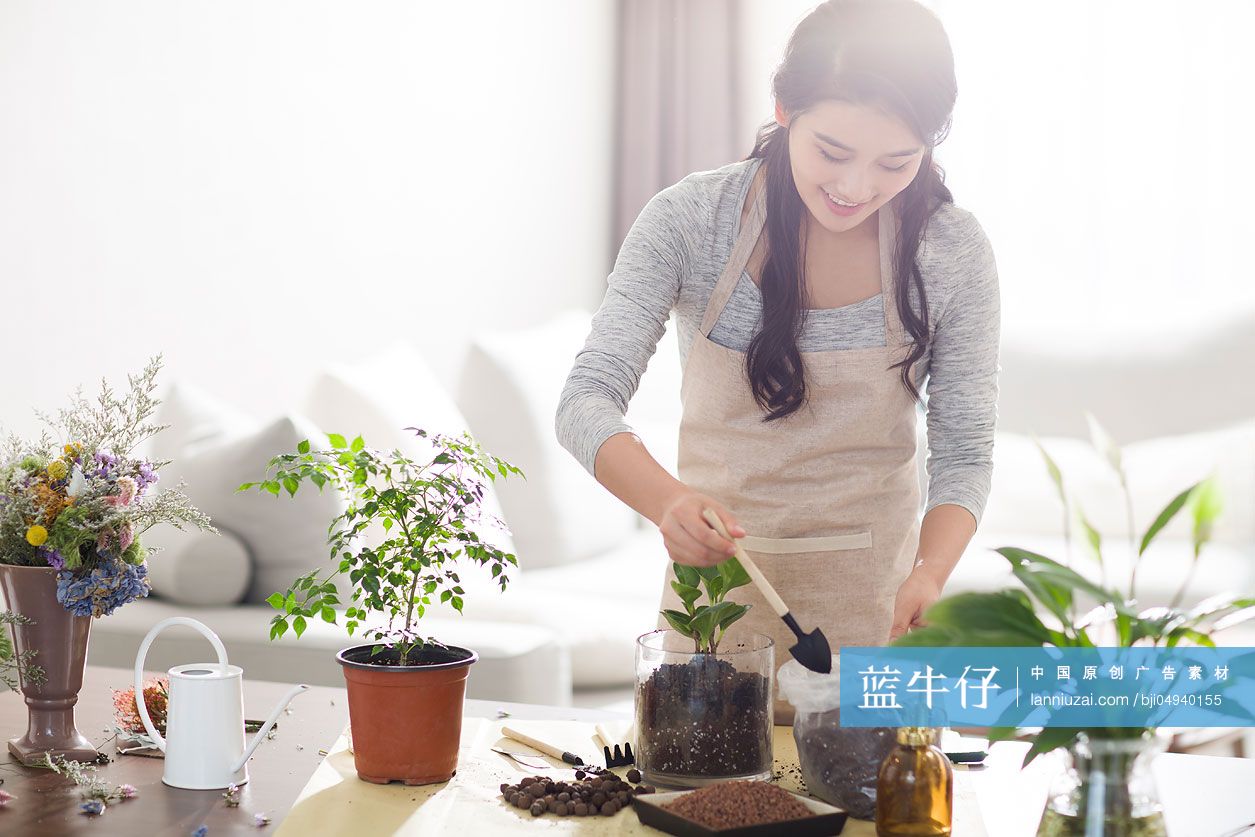 年轻女子在家种植盆栽-蓝牛仔影像-中国原创广告影像素材