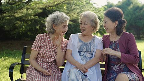 Senior Chinese friends relaxing in park,4K