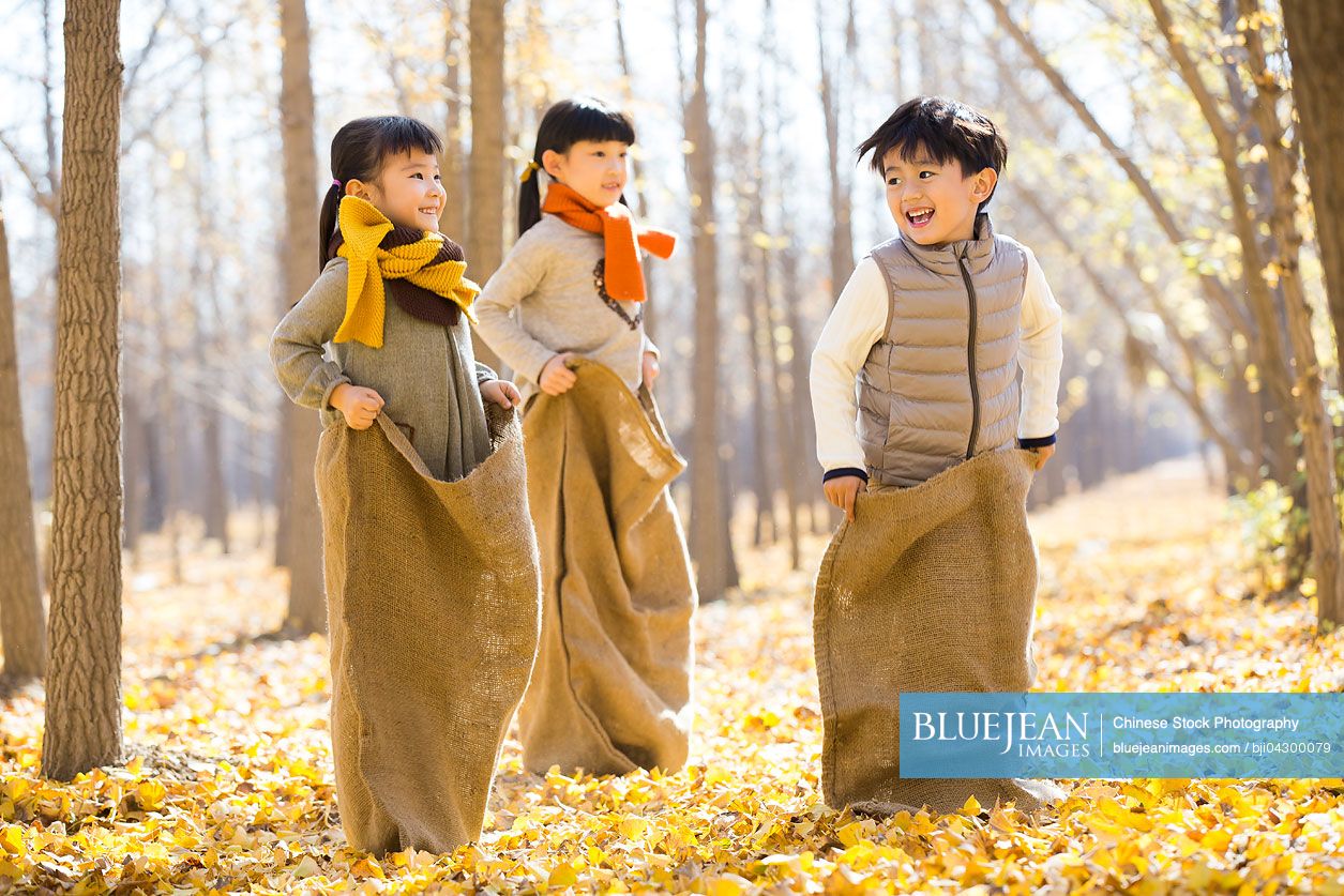 Three Chinese children having a sack race in autumn woods