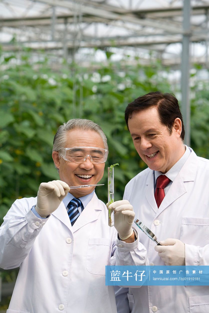 农艺师在现代农庄做科学研究