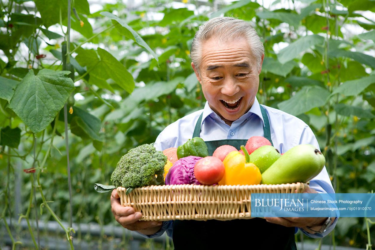 Chinese farmer holding vegetables in modern farm