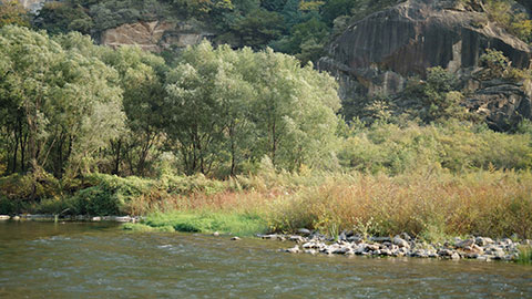 美丽的自然风光