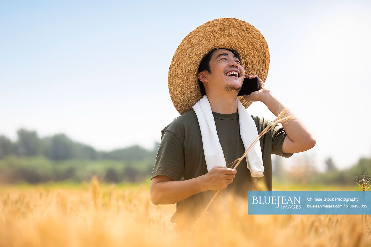 Chinese farmer talking on smartphone in wheat field