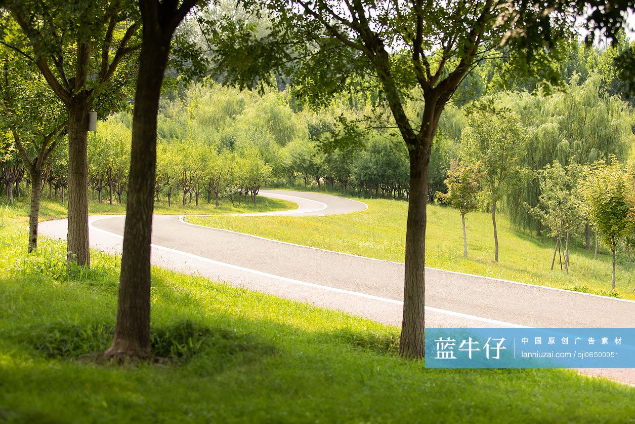 美丽的公园