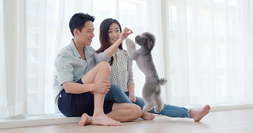 快乐年轻情侣在家和狗玩耍