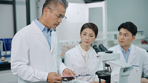 Chinese researchers discussing in laboratory,4K