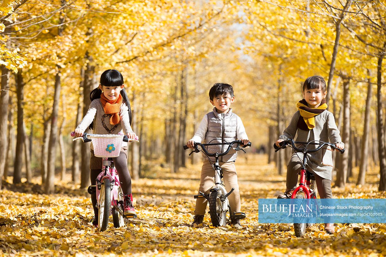 Three Chinese children cycling in autumn woods