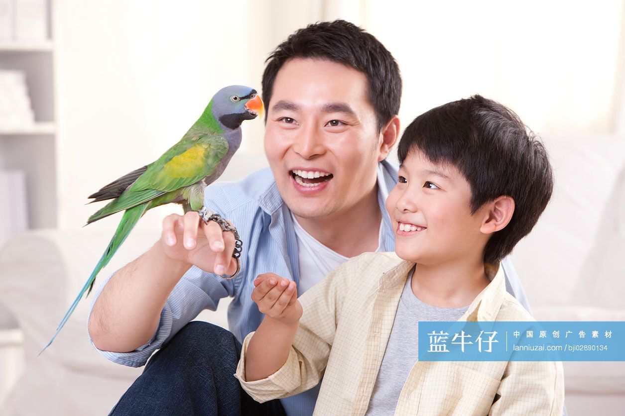 父子和鹦鹉一起玩耍