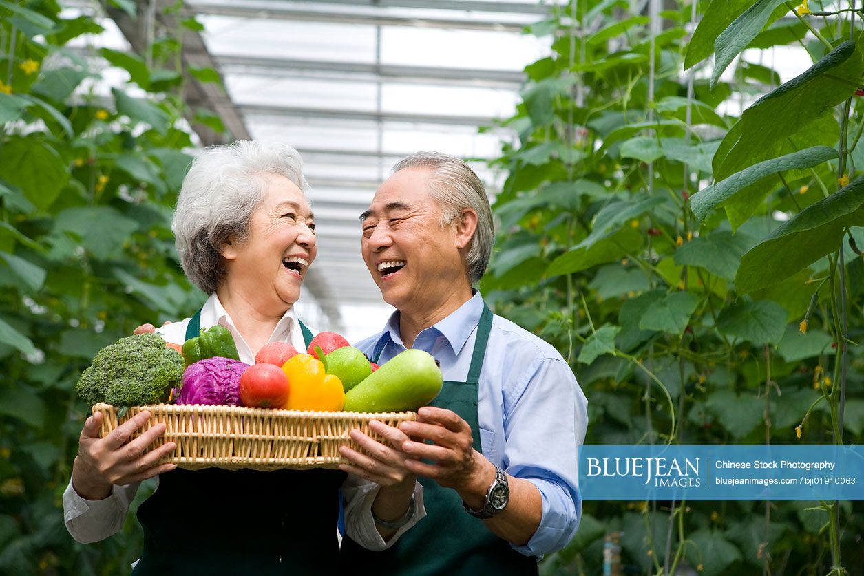 Chinese farmer holding vegetables in modern farm