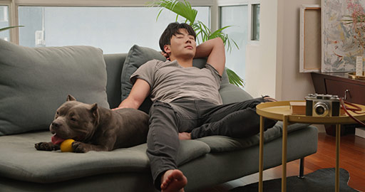 Young Chinese man with pet dog on sofa,4K