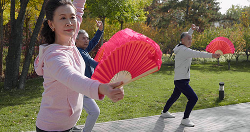 Senior Chinese adult practicing Tai Chi in the park,4K