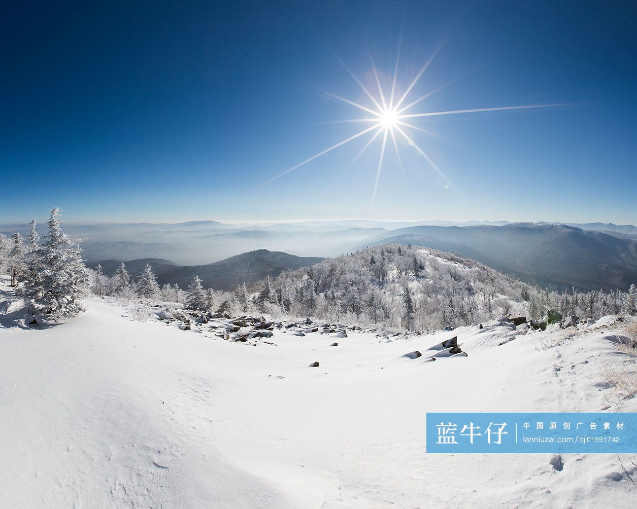 阳光雪景
