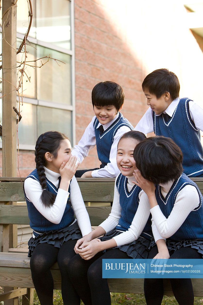 Five Chinese classmates talking on a school bench