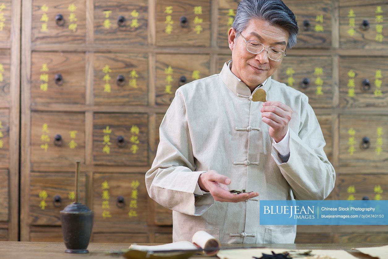 Senior Chinese doctor checking medicinal herbs