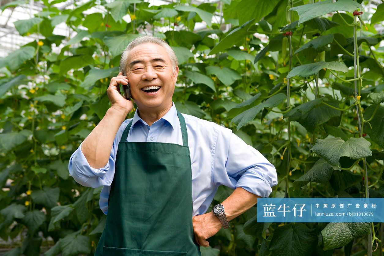 农场主打电话