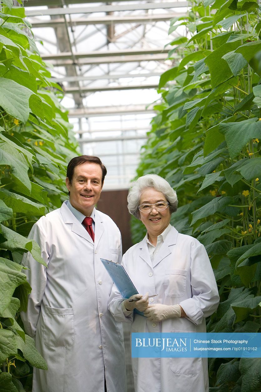 Scientists doing research in modern farm