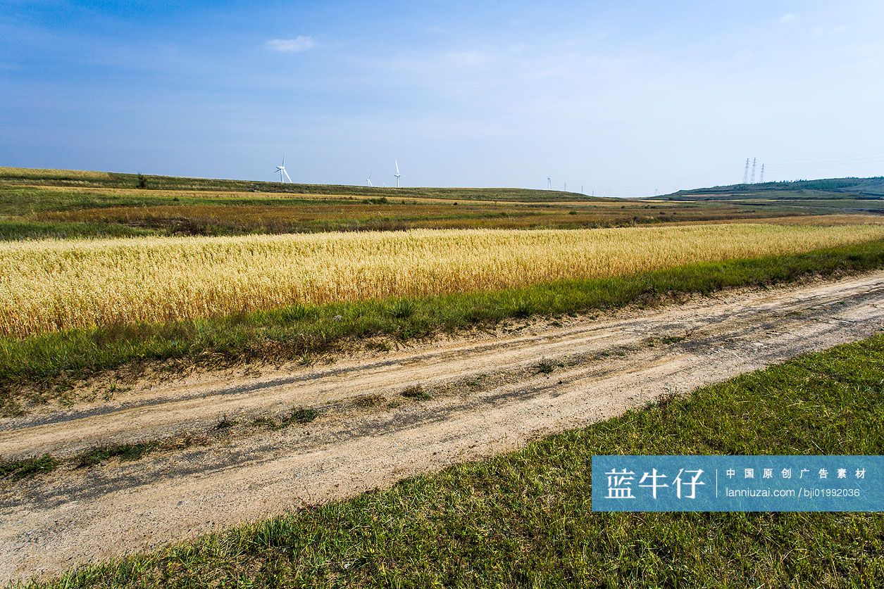 河北草原天路风光