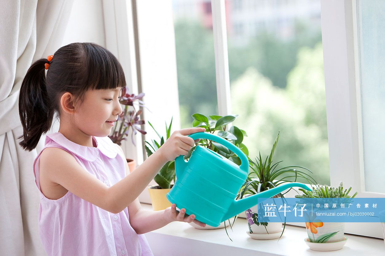 小女孩给室内盆栽浇水