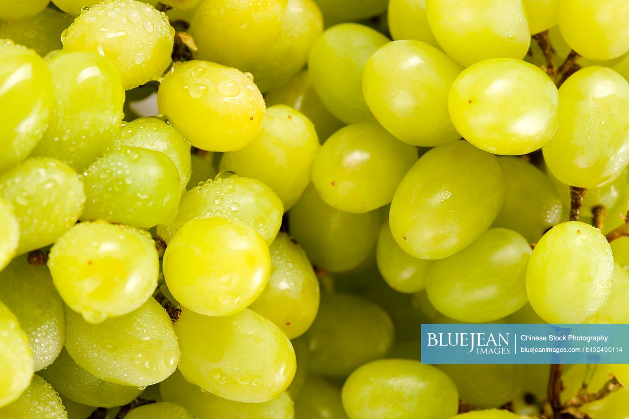 Wet Grapes, Studio Shot