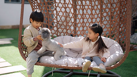 Happy little Chinese children with pet dog on hanging-chair,4K