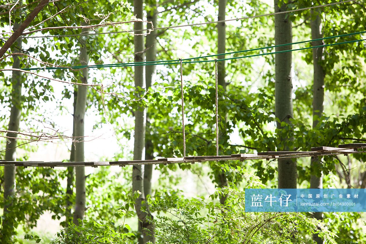 树上穿越活动