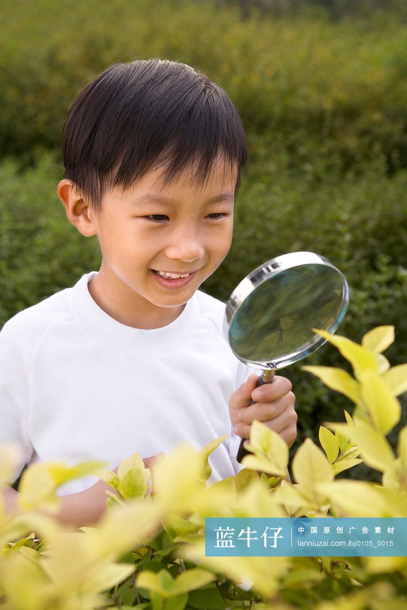 小男孩拿放大镜观察植物