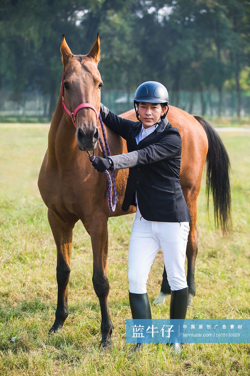 马术运动员牵着一匹马