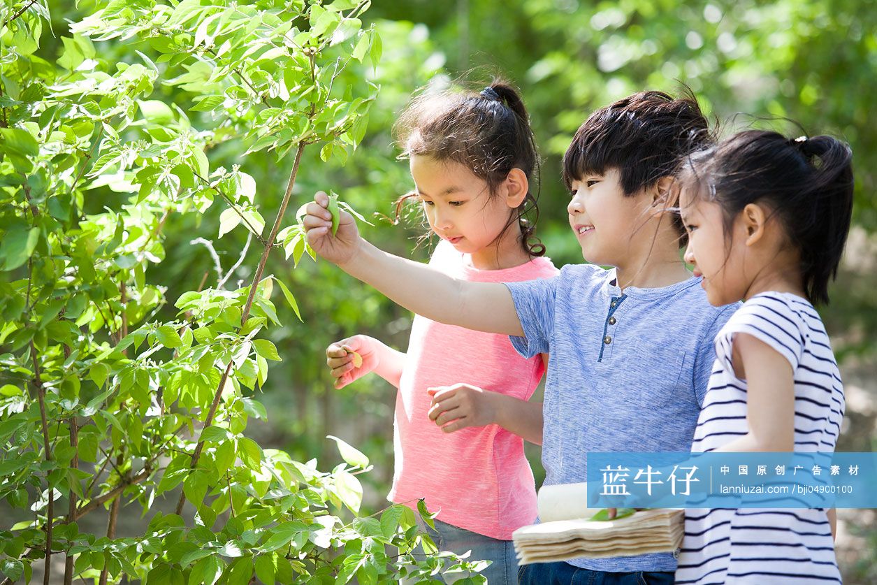 儿童在树林里采集树叶做标本