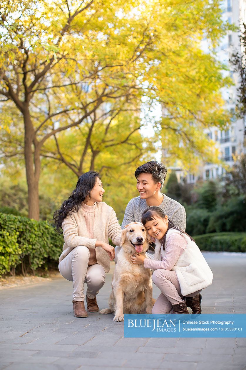 Happy young Chinese family playing with dog