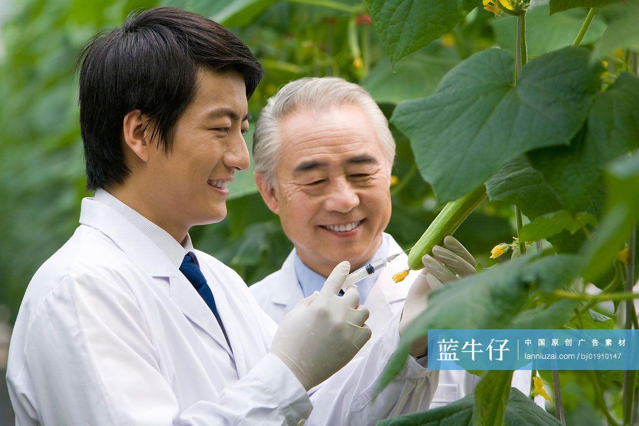 农艺师在现代农庄做科学研究