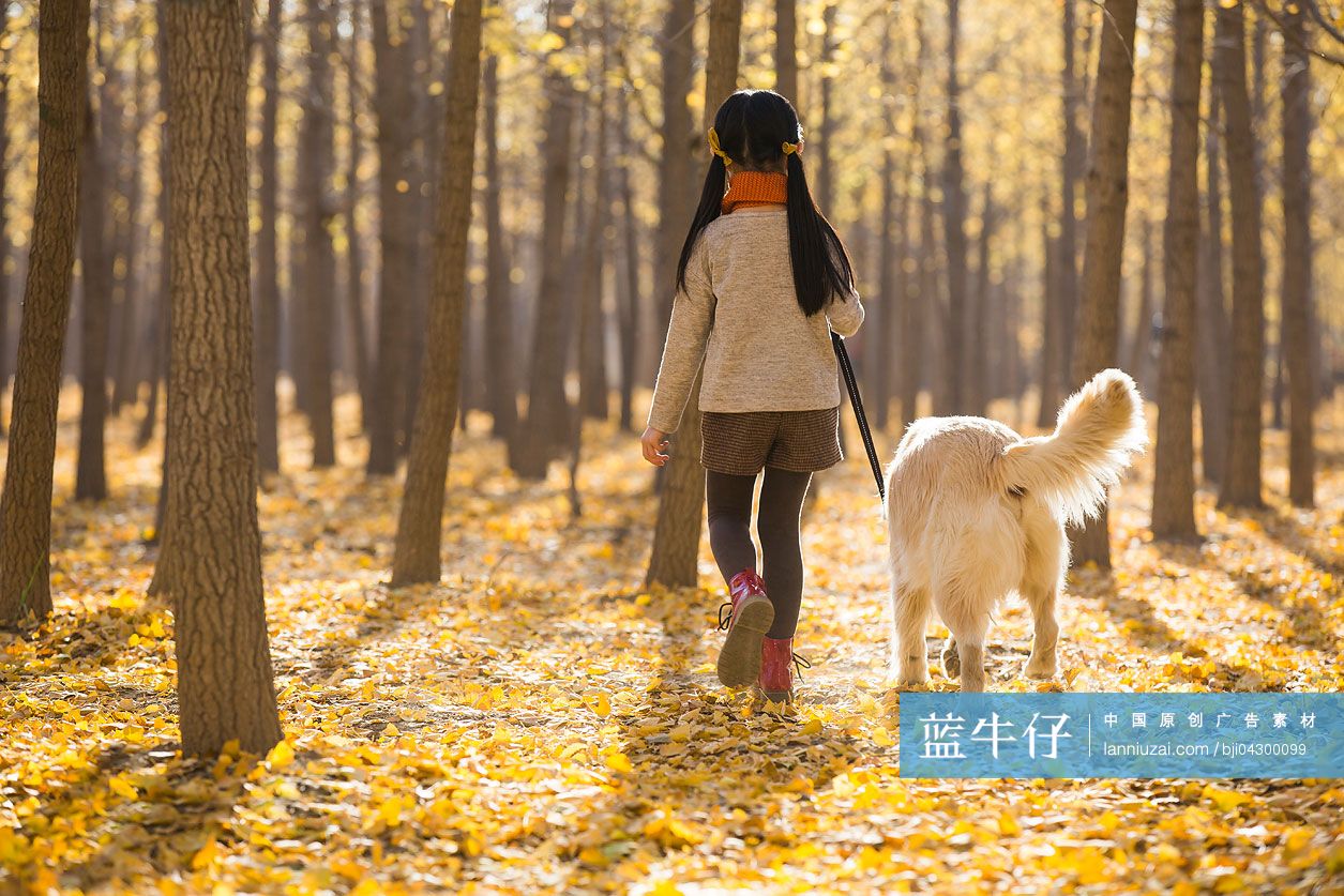 小女孩和寵物狗在秋日樹林裡散步